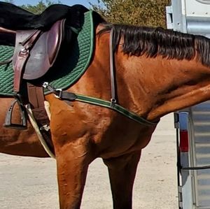 English Breastplate / Breastcollar